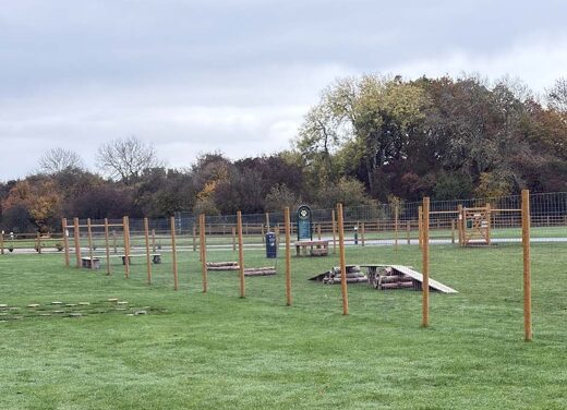 The fenced dog agility park