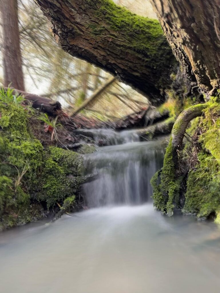 The waterfall by Acorn Lake