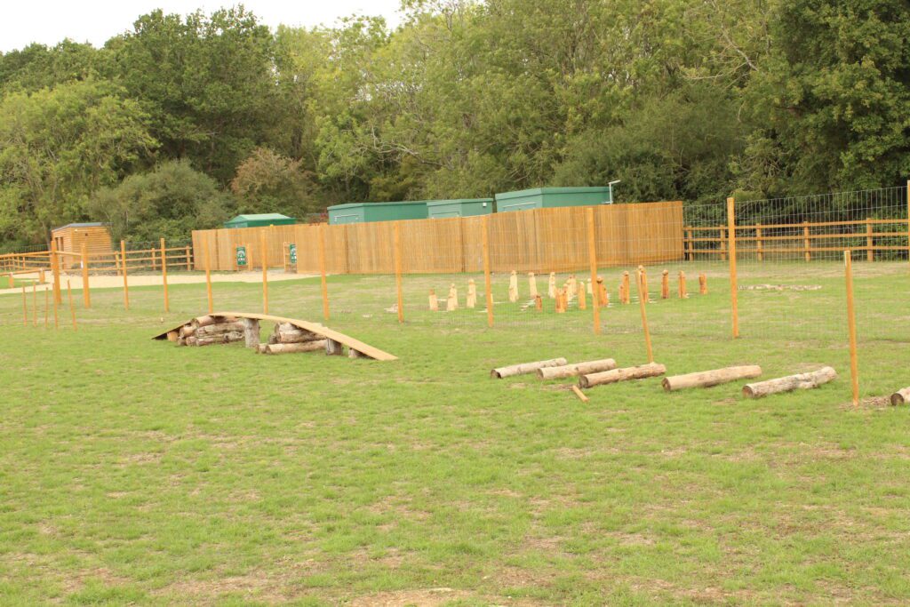 Weave poles, a ramp and a jump laid out on the grass inside the fenced dog agility park