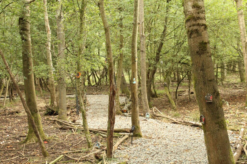 The Fairy Fauna Trail path through the trees, with small doors and figures fixed to the trunks and logs edging the way