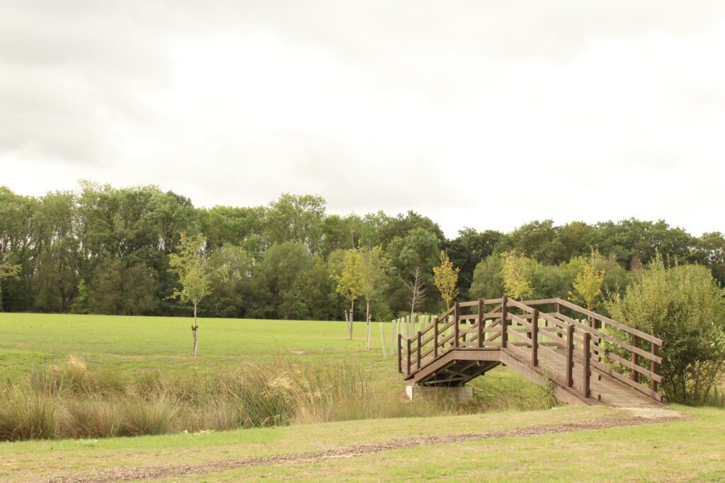 The timber arched bridge over Holm Lake at Rockingham Forest Park