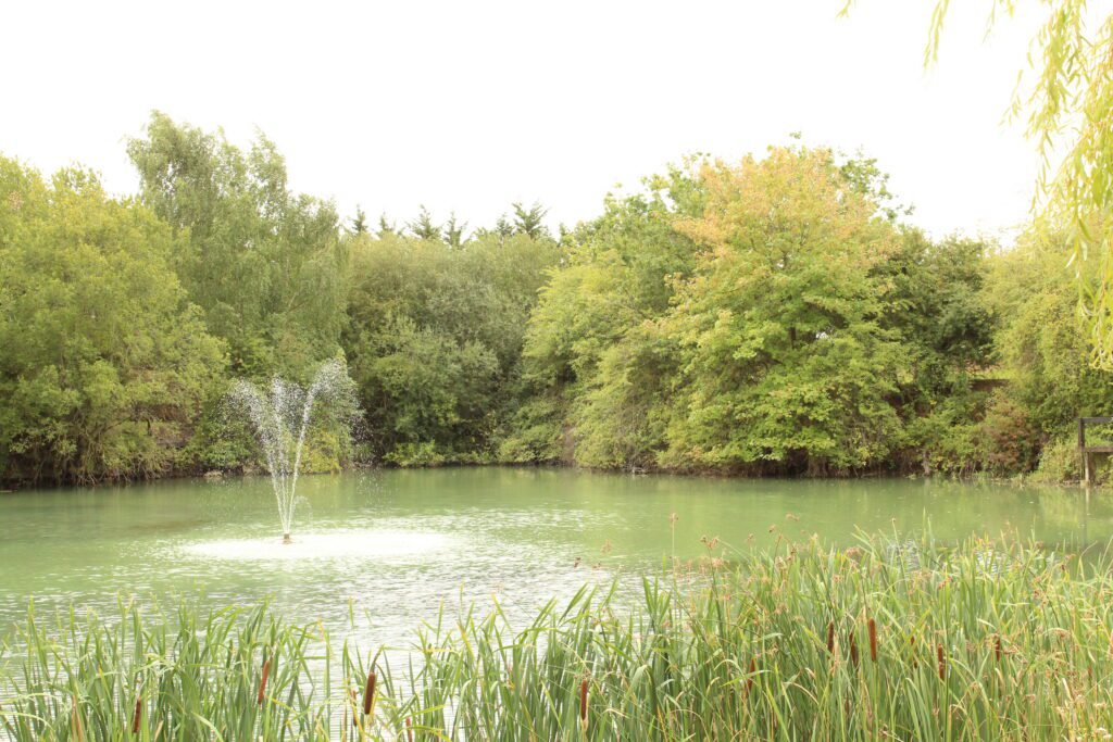 Oak Lake at Rockingham Forest Park with its fountain playing, seen across the reeds