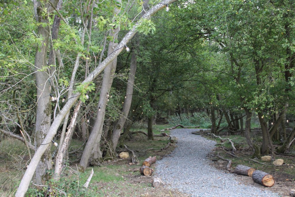 The Montgomery Park Walk at Rockingham Forest Park: a gravel path curving through open woodland, with leaning trees and cut logs along the edge